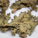 Crispy Kale Chips