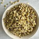 lentil sprouts in a white bowl